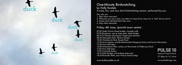 one-minute-birdwatching-web
